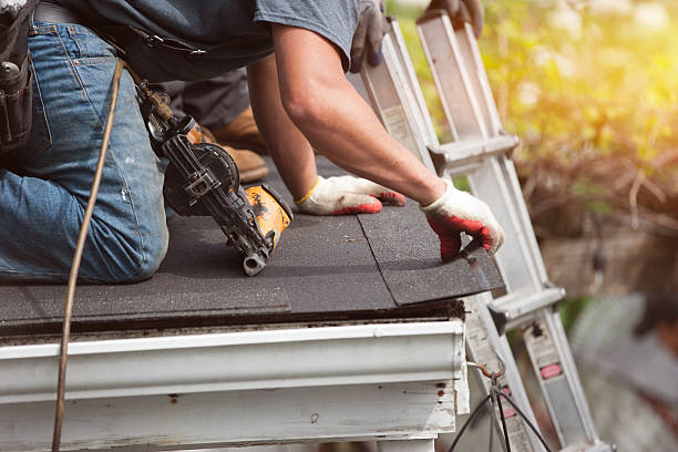 Best Roof Gutter Cleaning  in Red Lake Falls, MN
