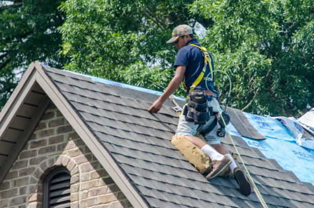 Professional Roofing Contractor in Red Lake Falls, MN